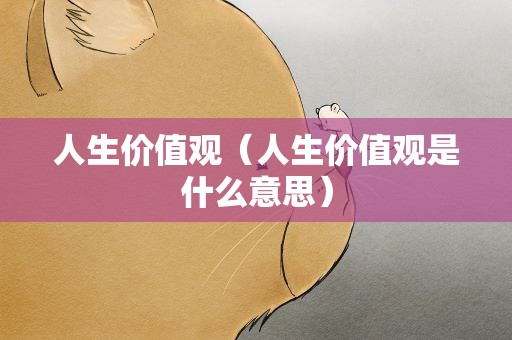 人生价值观（人生价值观是什么意思）