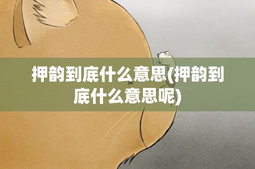 押韵到底什么意思(押韵到底什么意思呢)