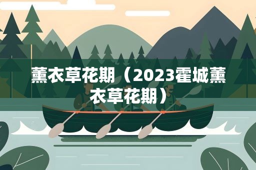 薰衣草花期（2023霍城薰衣草花期）