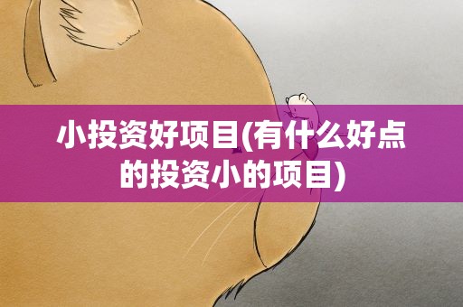 小投资好项目(有什么好点的投资小的项目)