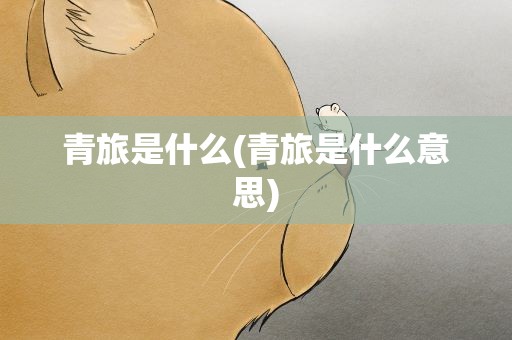 青旅是什么(青旅是什么意思)