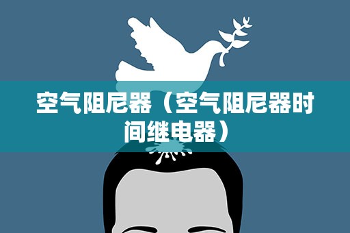 空气阻尼器（空气阻尼器时间继电器）