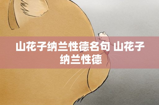 山花子纳兰性德名句 山花子 纳兰性德