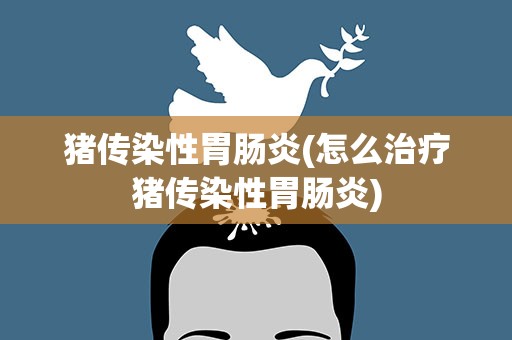 猪传染性胃肠炎(怎么治疗猪传染性胃肠炎)
