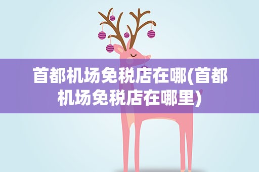 首都机场免税店在哪(首都机场免税店在哪里)