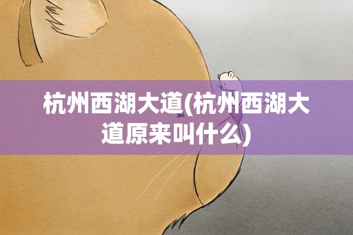 杭州西湖大道(杭州西湖大道原来叫什么)