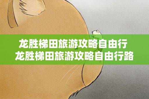 龙胜梯田旅游攻略自由行 龙胜梯田旅游攻略自由行路线