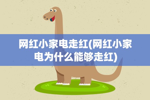 网红小家电走红(网红小家电为什么能够走红)