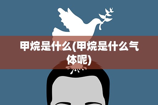 甲烷是什么(甲烷是什么气体呢)