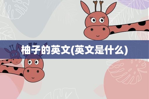 柚子的英文(英文是什么)