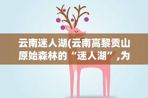 云南迷人湖(云南高黎贡山原始森林的“迷人湖”,为何人大声说话会下雨)