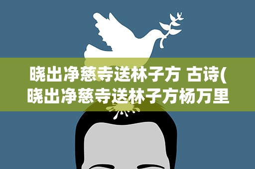 晓出净慈寺送林子方 古诗(晓出净慈寺送林子方杨万里全诗)