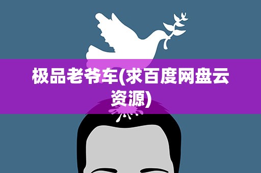 极品老爷车(求百度网盘云资源)