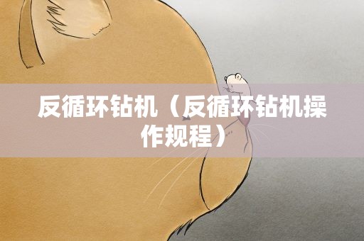 反循环钻机（反循环钻机操作规程）