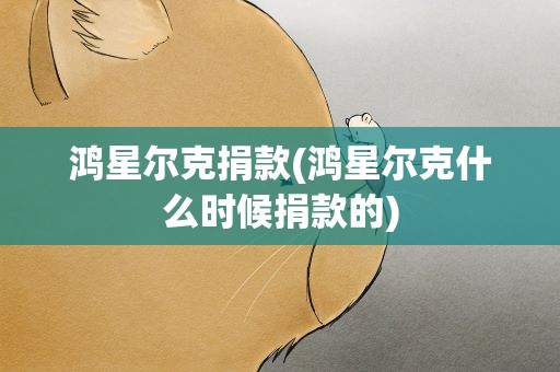 鸿星尔克捐款(鸿星尔克什么时候捐款的)