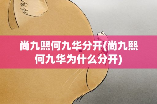 尚九熙何九华分开(尚九熙何九华为什么分开)