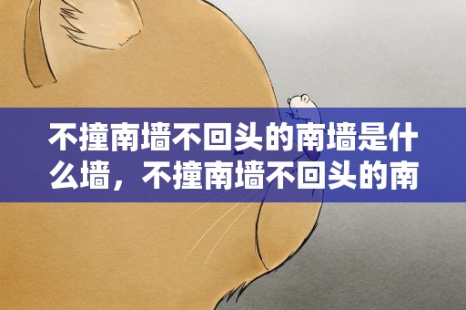不撞南墙不回头的南墙是什么墙，不撞南墙不回头的南墙是指什么墙