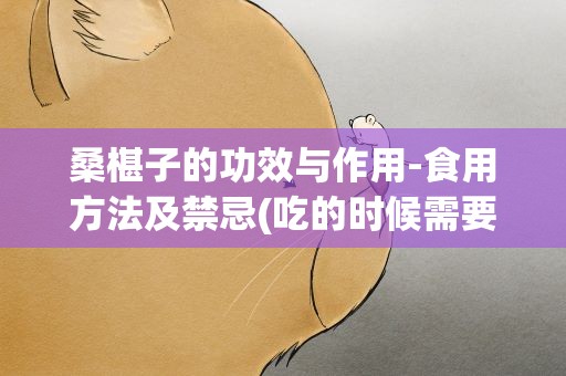 桑椹子的功效与作用-食用方法及禁忌(吃的时候需要注意什么)