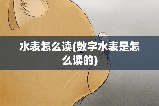 水表怎么读(数字水表是怎么读的)