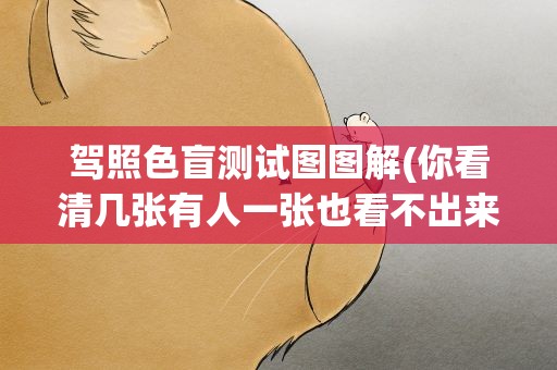 驾照色盲测试图图解(你看清几张有人一张也看不出来)