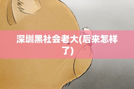 深圳黑社会老大(后来怎样了)