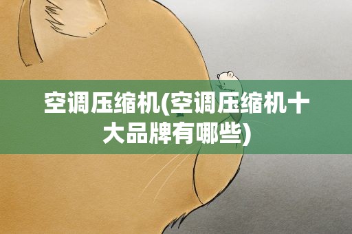 空调压缩机(空调压缩机十大品牌有哪些)