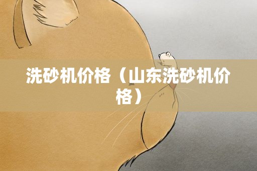 洗砂机价格（山东洗砂机价格）