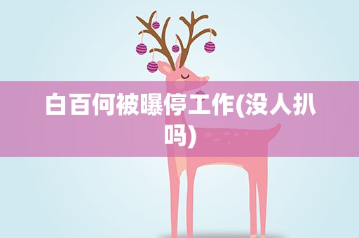 白百何被曝停工作(没人扒吗)