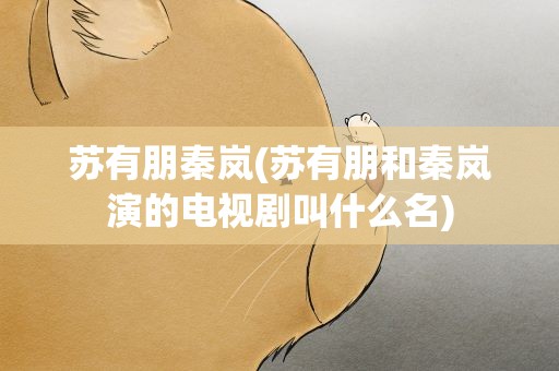 苏有朋秦岚(苏有朋和秦岚演的电视剧叫什么名)