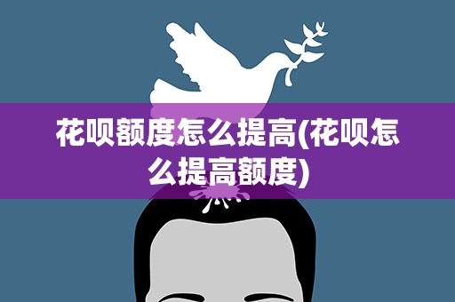 花呗额度怎么提高(花呗怎么提高额度)