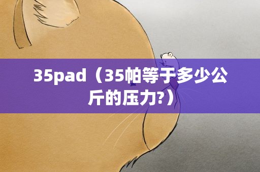 35pad（35帕等于多少公斤的压力?）