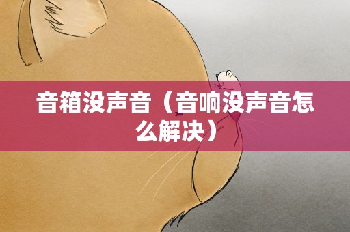 音箱没声音（音响没声音怎么解决）