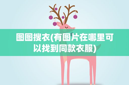 图图搜衣(有图片在哪里可以找到同款衣服)