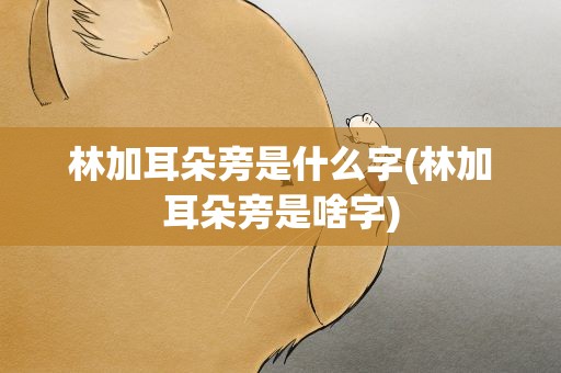 林加耳朵旁是什么字(林加耳朵旁是啥字)
