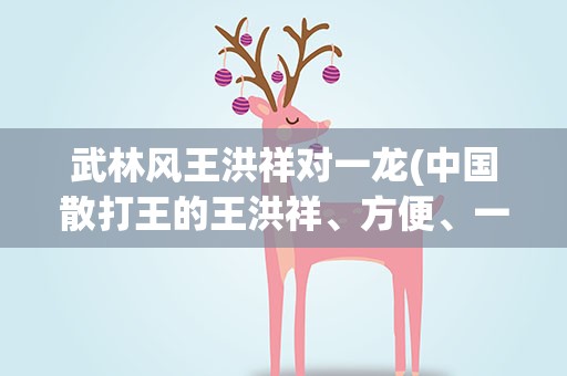 武林风王洪祥对一龙(中国散打王的王洪祥、方便、一龙谁最厉害)