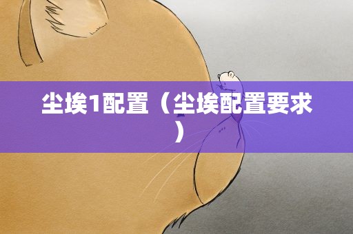 尘埃1配置（尘埃配置要求）