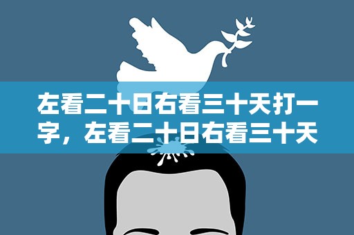 左看二十日右看三十天打一字，左看二十日右看三十天打一字迷底