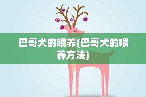 巴哥犬的喂养(巴哥犬的喂养方法)