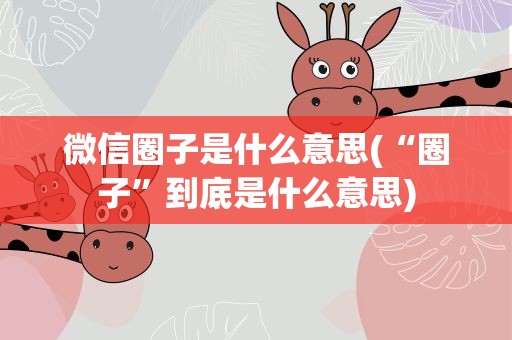 微信圈子是什么意思(“圈子”到底是什么意思)