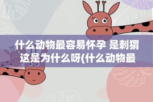 什么动物最容易怀孕 是刺猬 这是为什么呀(什么动物最容易怀孕,为什么是刺猬)