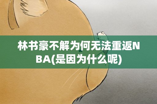 林书豪不解为何无法重返NBA(是因为什么呢)