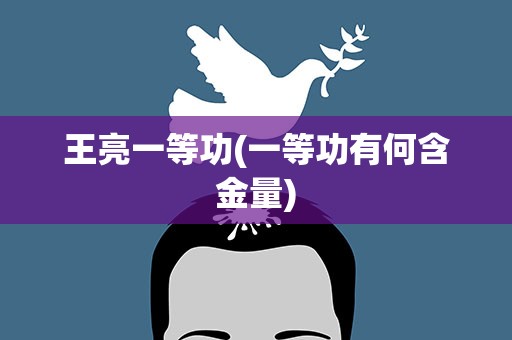 王亮一等功(一等功有何含金量)