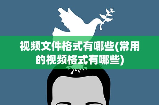 视频文件格式有哪些(常用的视频格式有哪些)