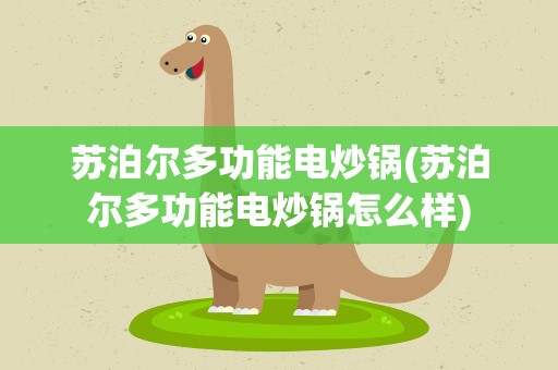 苏泊尔多功能电炒锅(苏泊尔多功能电炒锅怎么样)