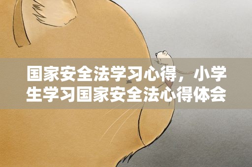 国家安全法学习心得，小学生学习国家安全法心得体会共400字