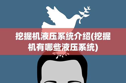 挖掘机液压系统介绍(挖掘机有哪些液压系统)