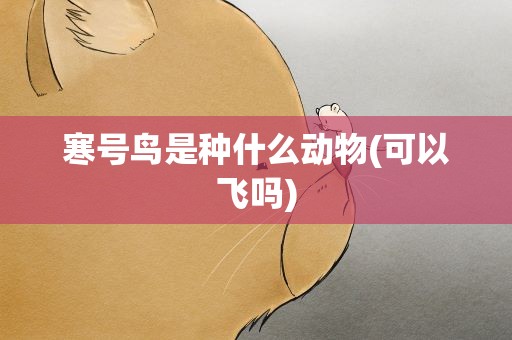 寒号鸟是种什么动物(可以飞吗)