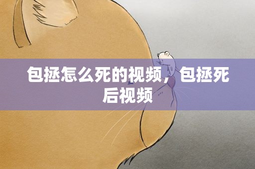 包拯怎么死的视频，包拯死后视频