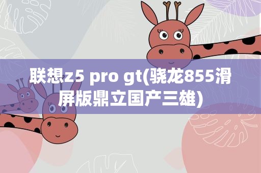 联想z5 pro gt(骁龙855滑屏版鼎立国产三雄)