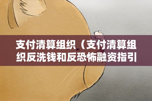 支付清算组织（支付清算组织反洗钱和反恐怖融资指引）